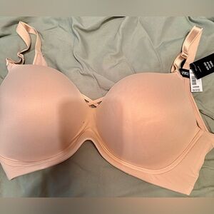 Torrid brand wire free bra